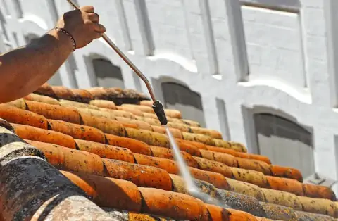 Démoussage de toiture à Izon